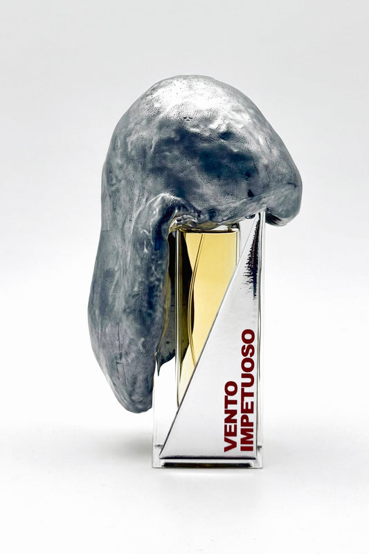 Vento impetuoso - Filippo Sorcinelli